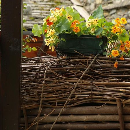 Residence Casa Dei Fiori Аланя Валсесия Екстериор снимка